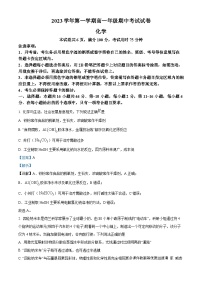 广东省广州市广雅集团2023-2024学年高一上学期11月期中考试化学试题（解析版）