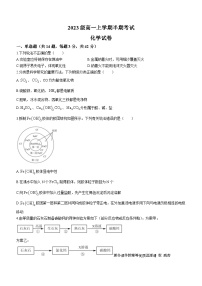 四川省眉山市仁寿县2023-2024学年高一上学期11月期中考试化学试题