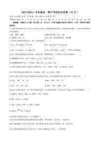 湖南省长沙市实验中学2023-2024学年高一上学期期中考试化学试题
