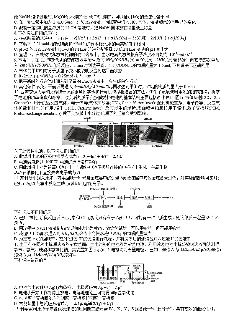辽宁省大连市滨城高中联盟2023-2024学年高三上学期期中（Ⅱ）考试化学试题第2页