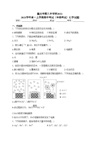 重庆市第八中学校2022-2023学年高一上学期期中考试（半期考试）化学试题(含答案)