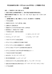 河北省秦皇岛市第一中学2023-2024学年高一上学期期中化学试题（Word版附解析）