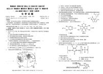 2024湖北省十一校高三上学期第一次联考试题化学PDF版含解析