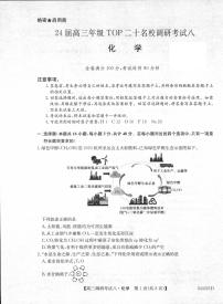 2024河南省TOP二十名校高三上学期调研考试八（12月）化学PDF版含答案