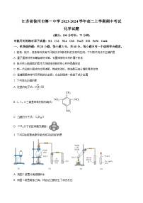 江苏省徐州市顶级中学2023-2024学年高二上学期期中考试 化学（解析版）