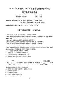 辽宁省沈阳市五校协作体2023-2024学年高三上学期期中考试化学试题（PDF版含答案）