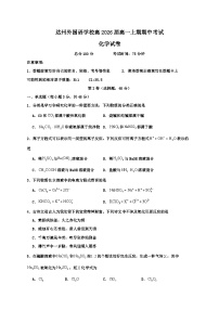 四川省达州外国语学校2023-2024学年高一上学期期中化学试题（Word版附答案）