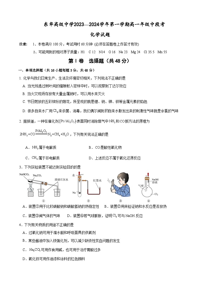 2024东莞东华高级中学高一上学期11月期中考试化学含答案01