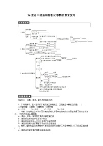 2022年高三化学寒假课时作业（含答案）：36生命中的基础有机化学物质章末复习