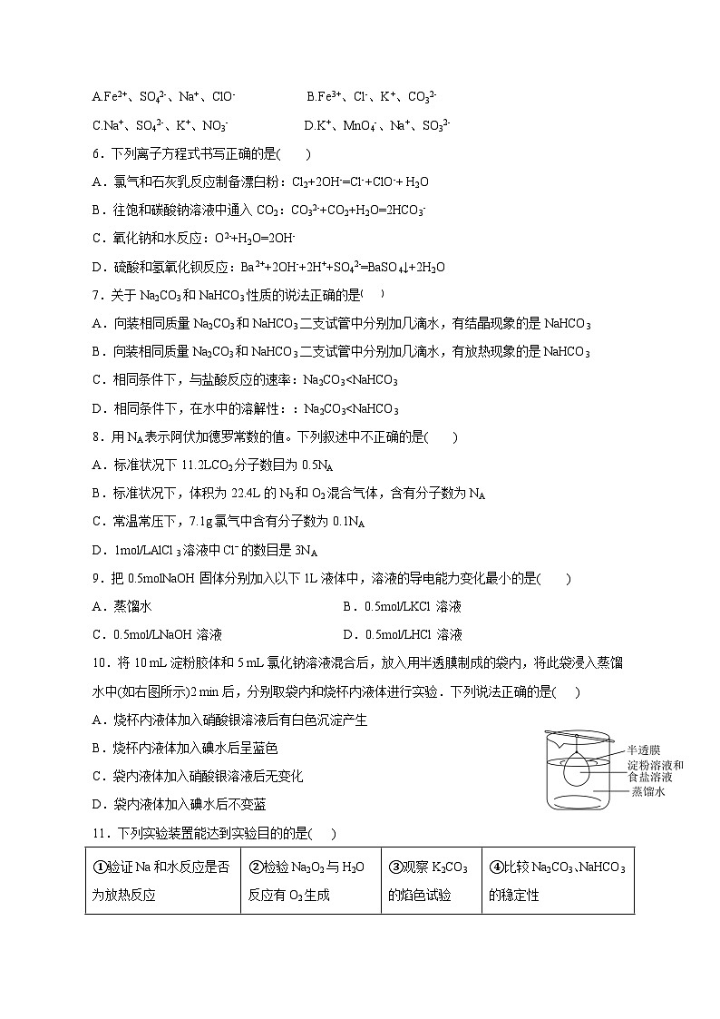 2023-2024学年河南省济源市高一上学期期末化学模拟测试试题第2页