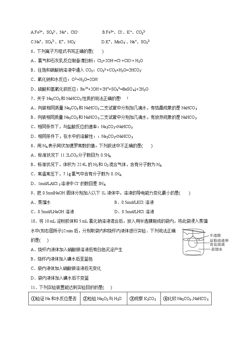 2023-2024学年河南省济源市高一上学期期末化学模拟试题第2页