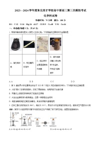 辽宁省沈阳市东北育才学校高中部2024届高三上学期第三次模拟考试化学试题