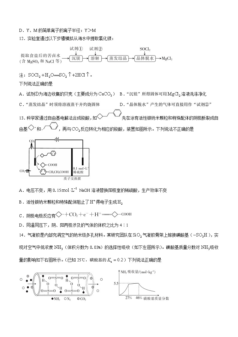 2024浙江强基联盟高三上学期12月联考试题化学含解析03