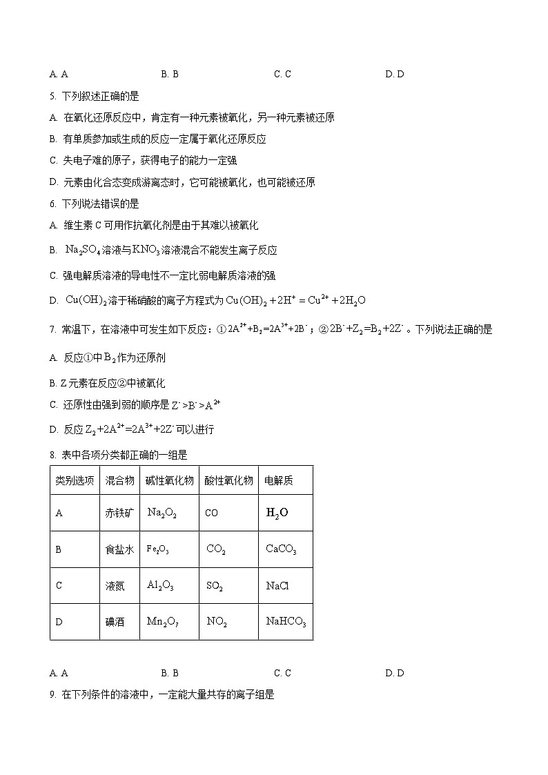 2024新泰一中东校高一上学期期中考试化学含解析02