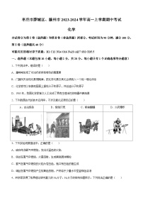 山东省枣庄市薛城区、滕州市2023-2024学年高一上学期期中考试化学试题（含答案）