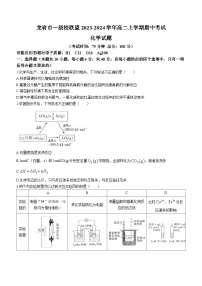 福建省龙岩市一级校联盟2023-2024学年高二上学期期中考试化学试题（含答案）