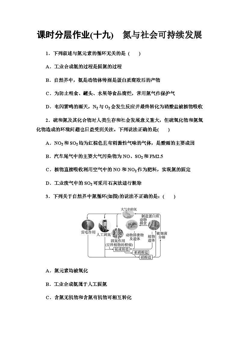 2024届高考化学一轮复习课时分层作业19氮与社会可持续发展含答案01