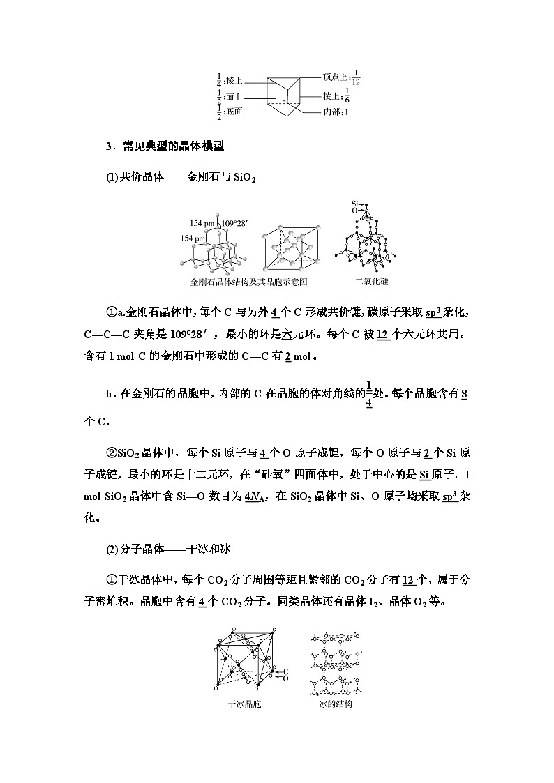 2024届高考化学一轮复习专题5第25讲晶体结构与性质基础学案第3页