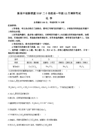 2024河南省TOP二十名校高一上学期12月调研考试化学含答案