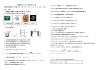 2024省双鸭山一中高二上学期12月月考试题化学含答案