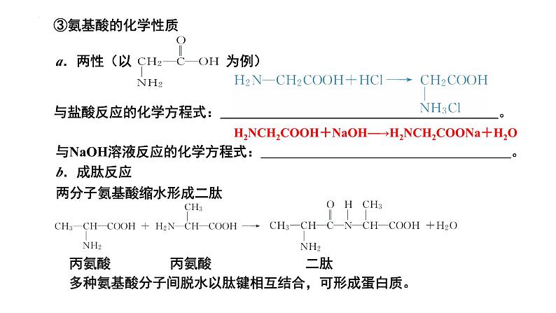 第46讲 生命中的基础有机化学物质与有机合成-备战2024年高考化学一轮复习精品课件（全国通用）第8页