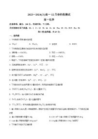 辽宁省沈阳市第十五名校2023-2024学年高一上学期12月月考 化学（解析版）