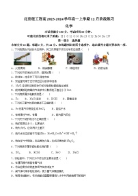 北京理工附高2023-2024学年高一上学期12月阶段练习化学试题（含答案）