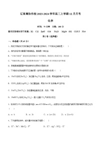 辽宁省辽东南协作校2023-2024学年高三上学期12月月考化学（A卷）试题（含答案）