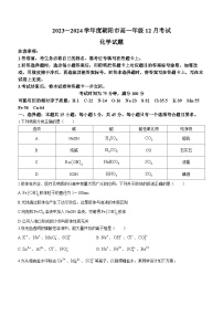 辽宁省朝阳市第一高级中学  第二高级中学2023-2024学年高一上学期12月月考化学试题