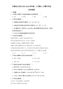 甘肃省天水市2023-2024学年高一上学期11月期中考试化学试卷（含解析）