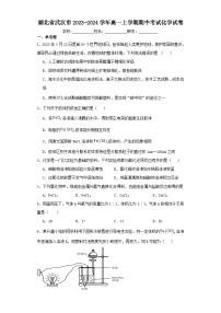 湖北省武汉市2023-2024学年高一上学期期中考试化学试卷（含解析）