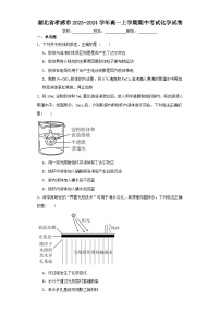 湖北省孝感市2023-2024学年高一上学期期中考试化学试卷（含解析）