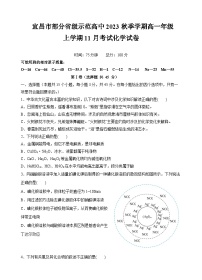 湖北省宜昌市部分省级示范高中2023-2024学年高一上学期11月月考化学试卷（Word版附答案）