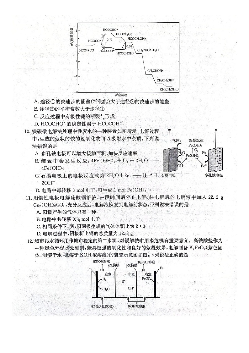 2024邢台五岳联盟高二上学期12月月考试题化学图片版含答案03