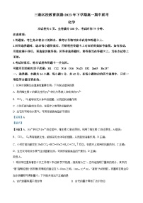 湖南省三湘名校教育联盟2023-2024学年高一上学期11月期中联考化学试题（Word版附解析）