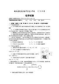 湖北省武昌实验名校2023-2024学年高三上学期12月月考化学试卷