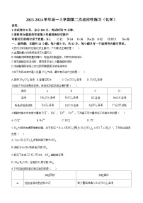 福建省厦门第一中学2023-2024学年高一上学期12月月考化学试题