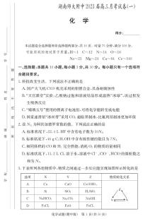 湖南师范大学附属中学2022-2023学年高三上学期月考卷（一）化学 PDF版含解析