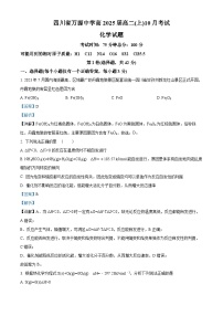 四川省达州市万源中学2023-2024学年高二上学期10月月考化学试题（Word版附解析）