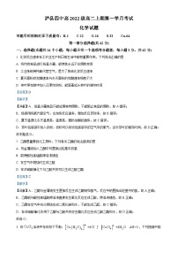 四川省泸州市泸县第四中学2023-2024学年高二上学期10月月考化学试题（Word版附解析）