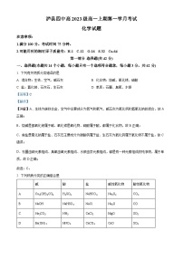 四川省泸州市泸县第四中学2023-2024学年高一上学期10月月考化学试题（Word版附解析）