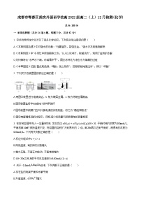 四川省成都市郫都区重点中学校2023-2024学年高二上学期12月检测化学试题