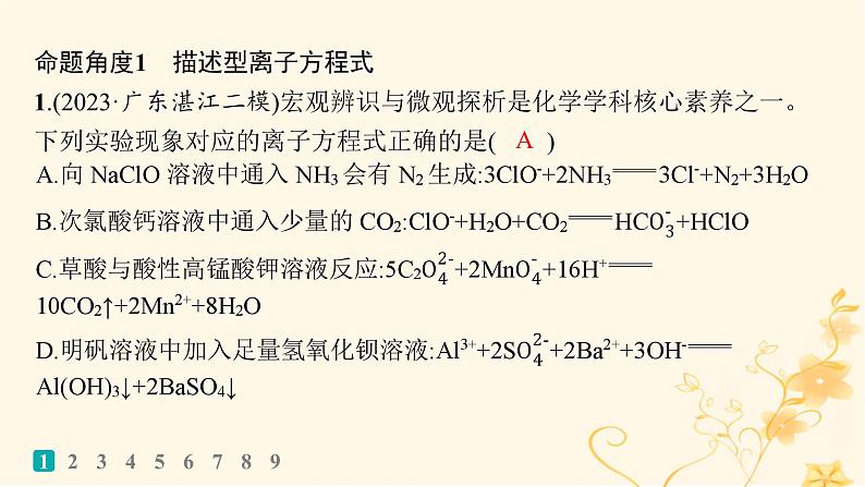 适用于新高考新教材2024版高考化学二轮复习热点提速练3离子方程式的正误判断课件第2页