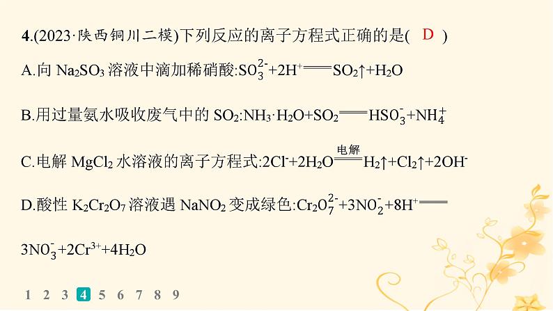 适用于新高考新教材2024版高考化学二轮复习热点提速练3离子方程式的正误判断课件第7页