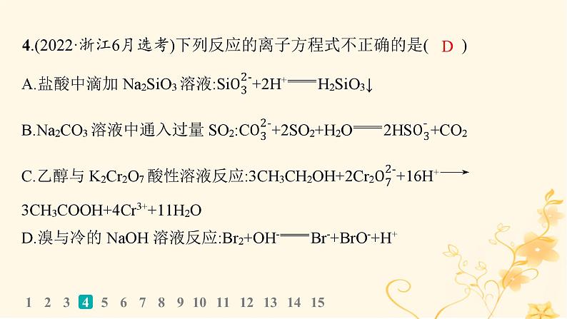 适用于新高考新教材2024版高考化学二轮复习选择题专项练1课件第7页