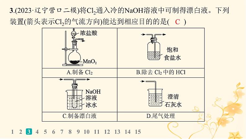 适用于新高考新教材2024版高考化学二轮复习选择题专项练2课件第5页