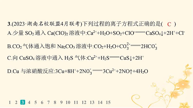 适用于新高考新教材2024版高考化学二轮复习选择题专项练3课件04