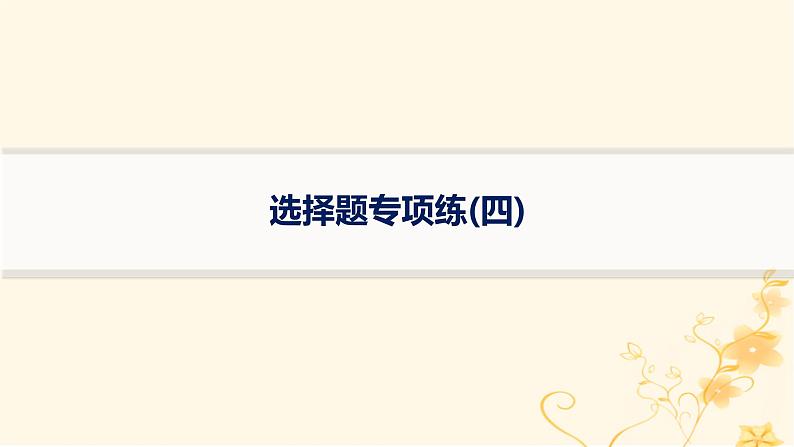 适用于新高考新教材2024版高考化学二轮复习选择题专项练4课件第1页