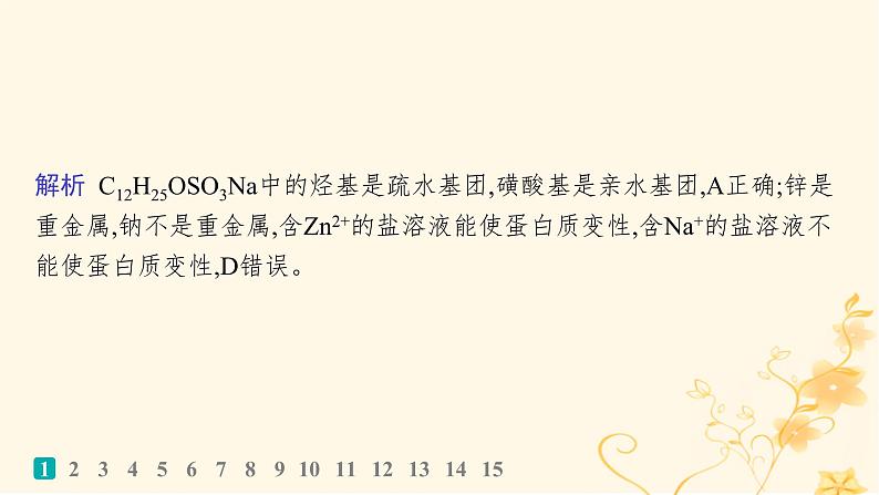 适用于新高考新教材2024版高考化学二轮复习选择题专项练5课件第3页