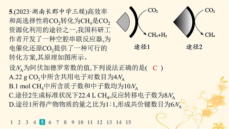 适用于新高考新教材2024版高考化学二轮复习选择题专项练5课件第8页